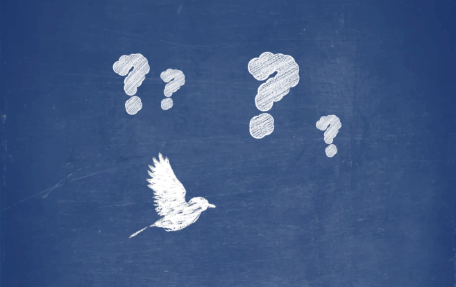 Hvað á sjóðurinn að heita?