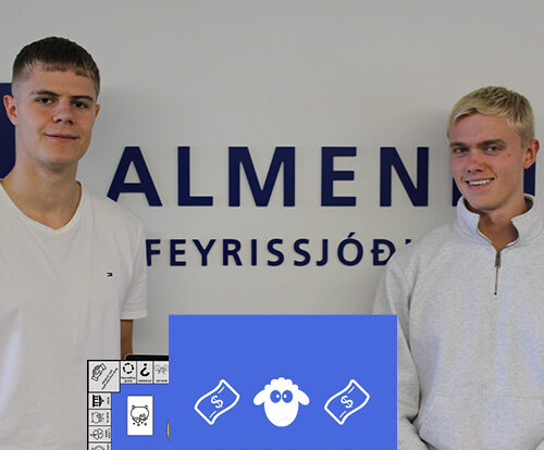 Geta leikir bætt fjármálalæsi?